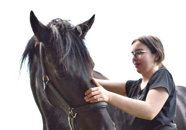 Osteopathe pour chevaux