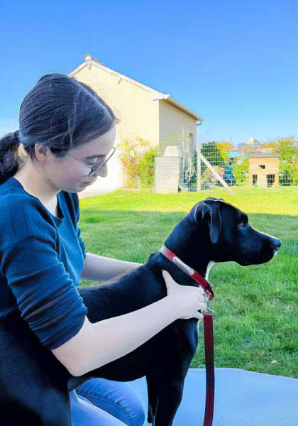 Osteopathe pour chien